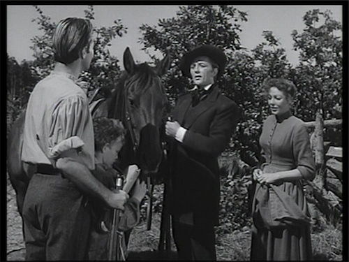 rachelandthestranger7