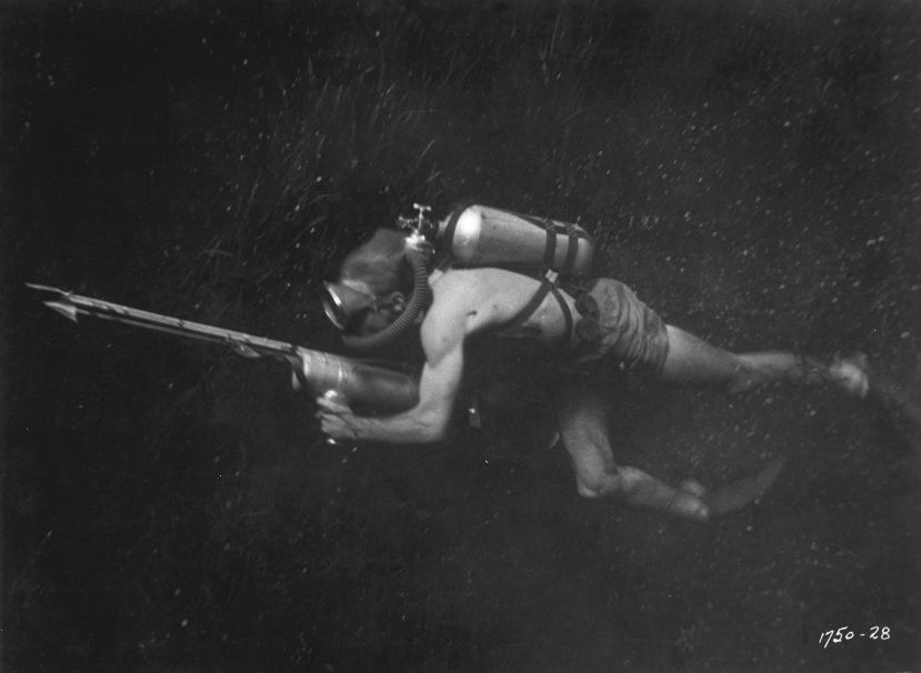 creature_from_black_lagoon_28