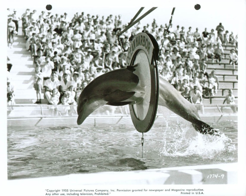 revenge_of_creature16