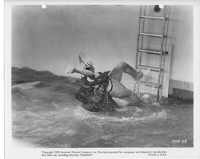 revenge_of_creature37