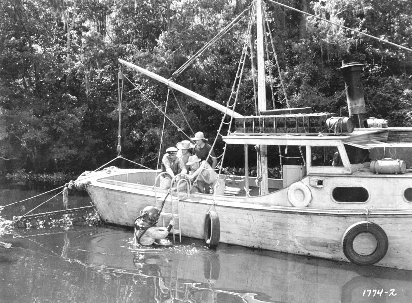 revenge_of_creature_02