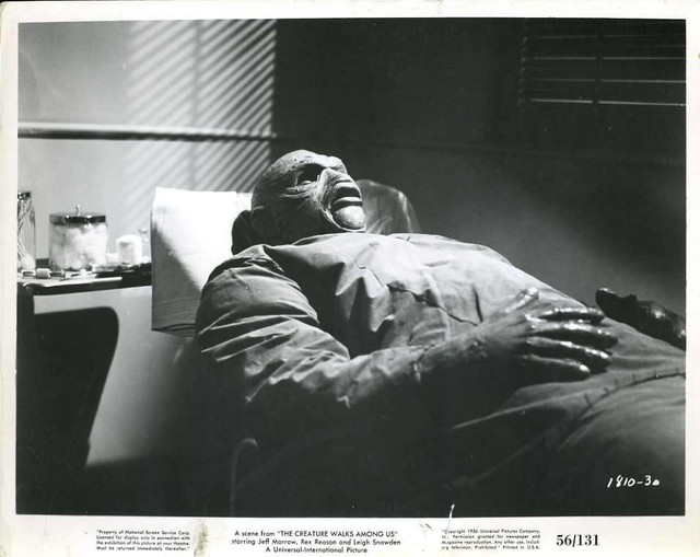 The Creature Walks Among Us35