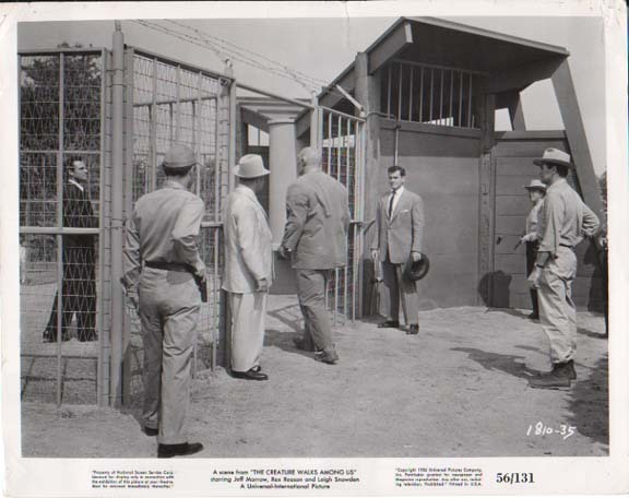 The Creature Walks Among Us38