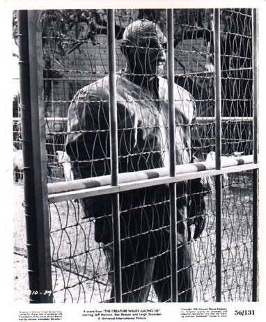 The Creature Walks Among Us40