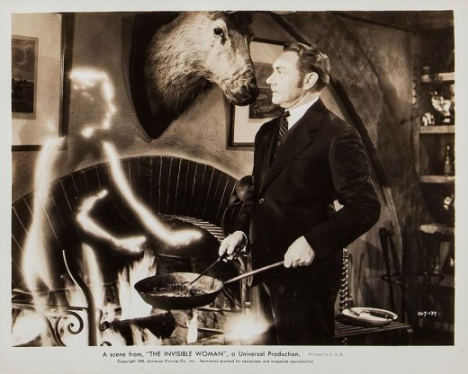 The Invisible Woman11