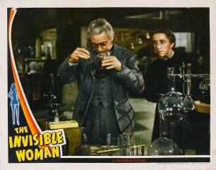 The Invisible Woman15