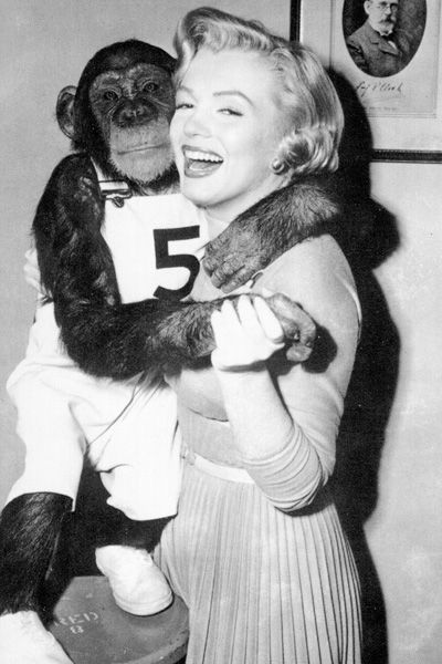 1952: Actress Marilyn Monroe and her chimp so-star in a scene from 'Monkey Business' in 1952. (Photo by Michael Ochs Archives/Getty Images)