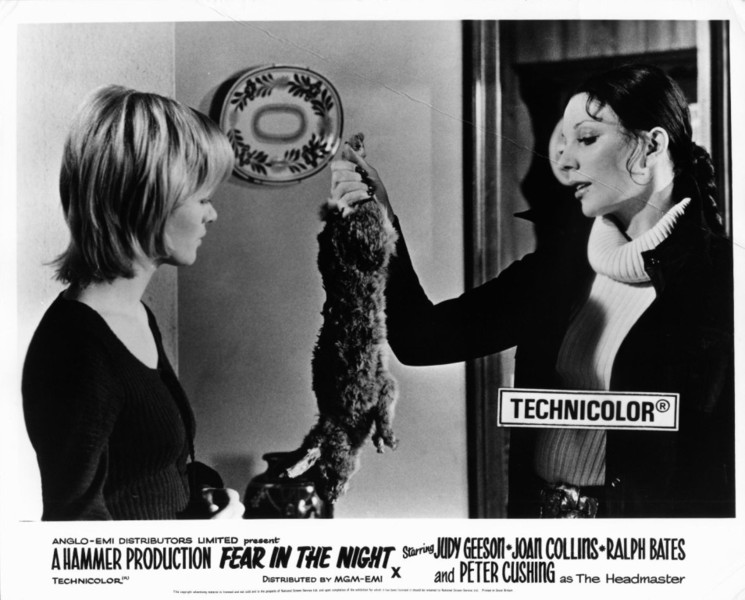 Fear in the Night 17