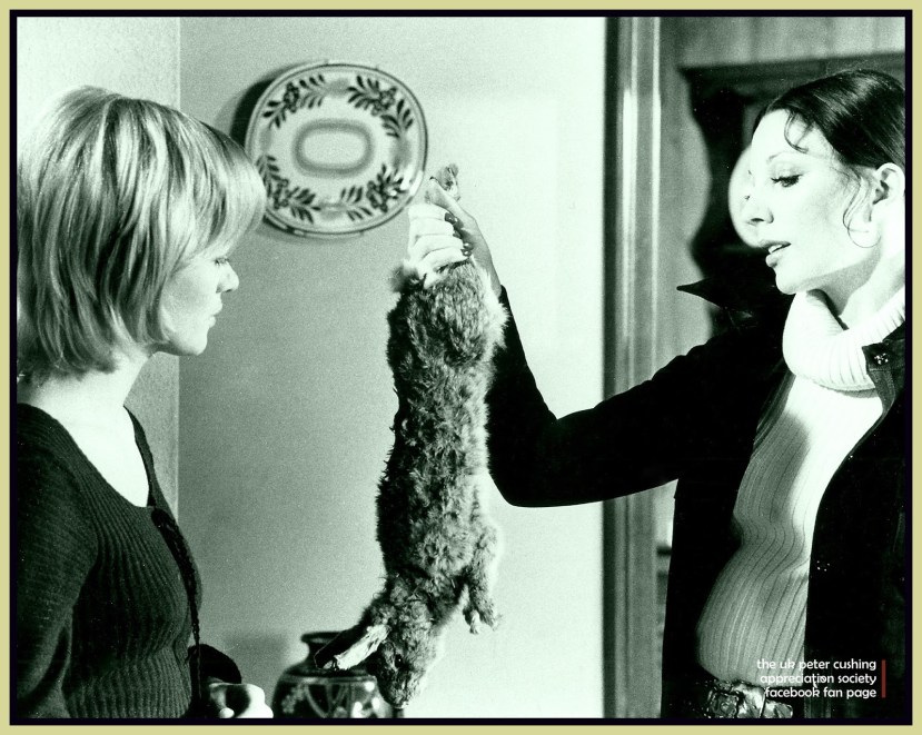 Fear in the Night 32