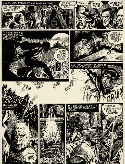 The Curse of the Werewolf 145