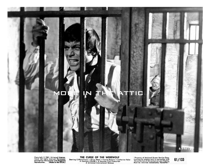 The Curse of the Werewolf 23