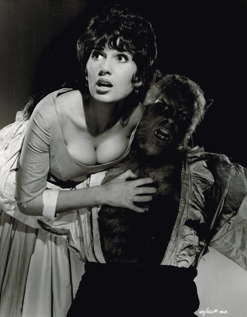 The Curse of the Werewolf 71