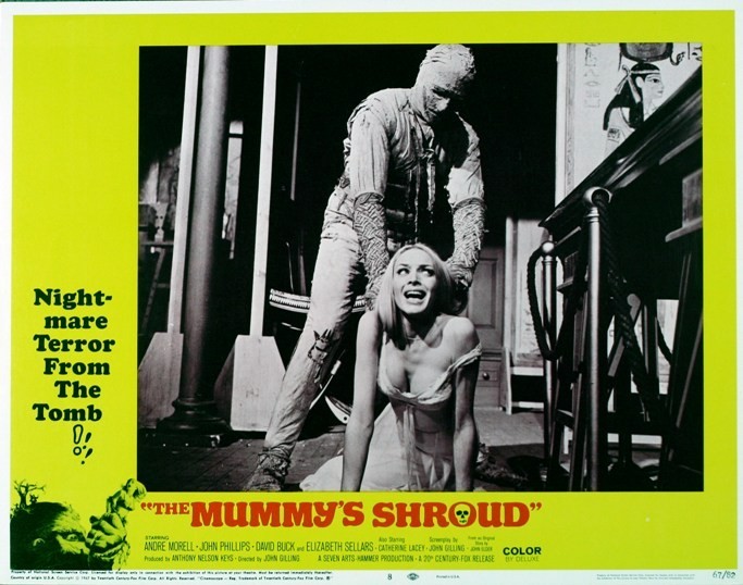 The Mummy's Shroud 13