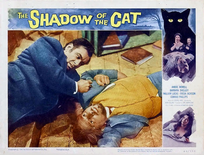 The Shadow of the Cat 11