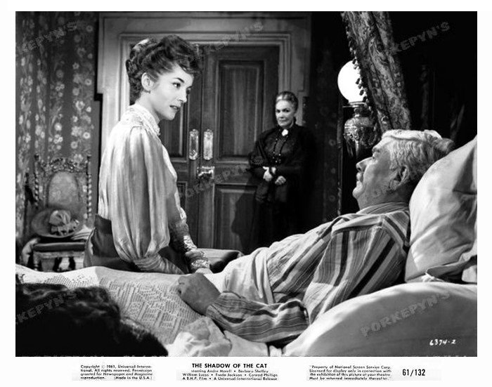 The Shadow of the Cat 13