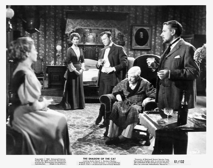 The Shadow of the Cat 14