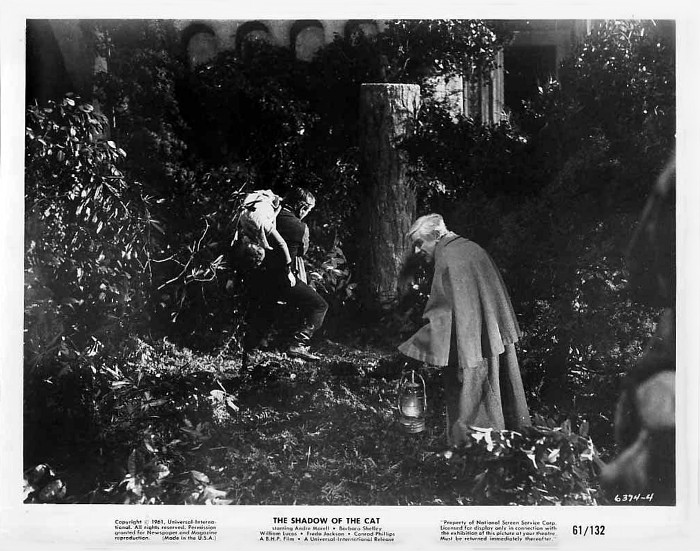 The Shadow of the Cat 15