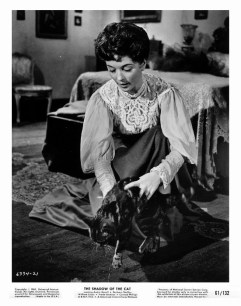 The Shadow of the Cat 20