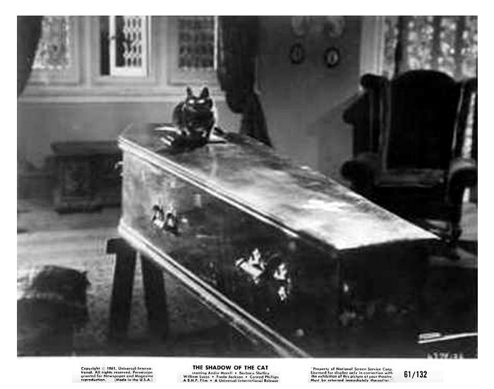 The Shadow of the Cat 23