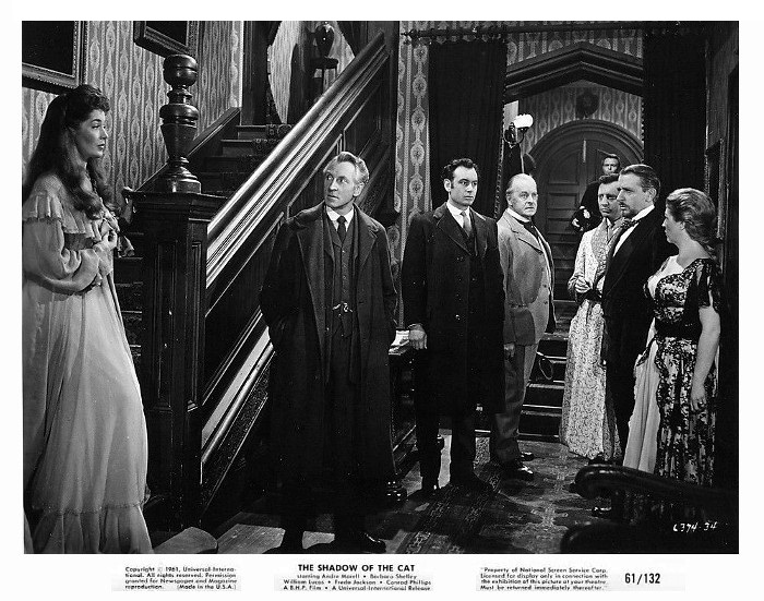 The Shadow of the Cat 24