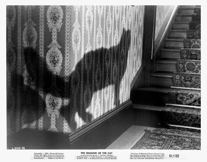 The Shadow of the Cat 25