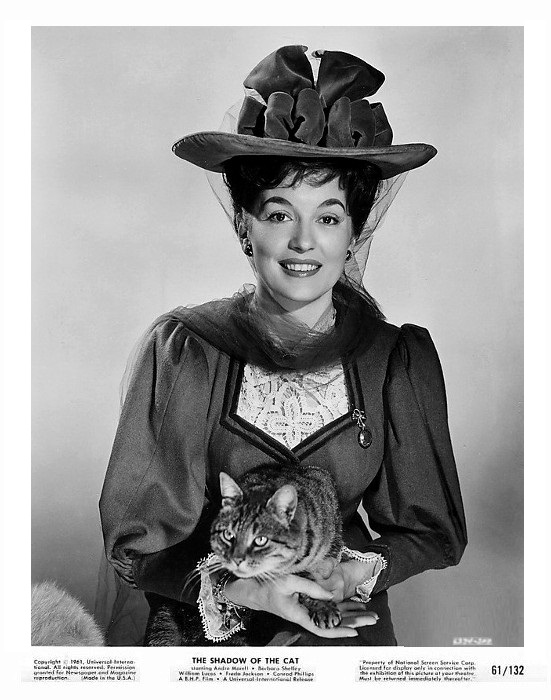 The Shadow of the Cat 27