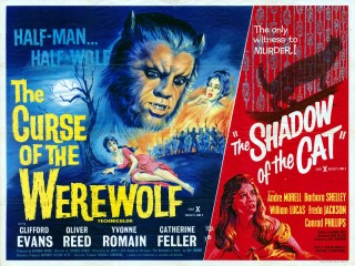 The Shadow of the Cat 33