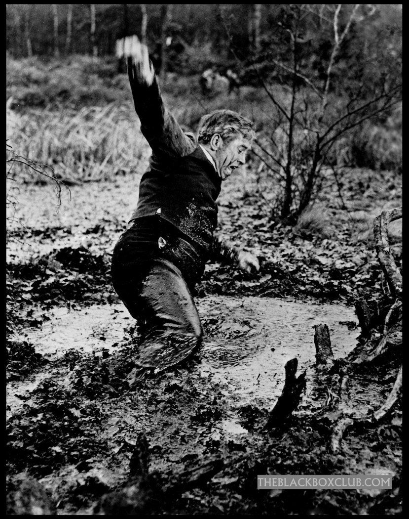 The Shadow of the Cat 43