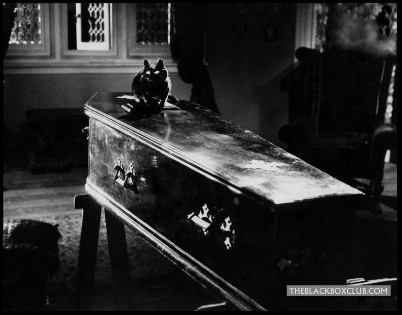 The Shadow of the Cat 45