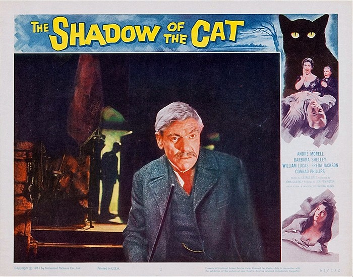 The Shadow of the Cat 6