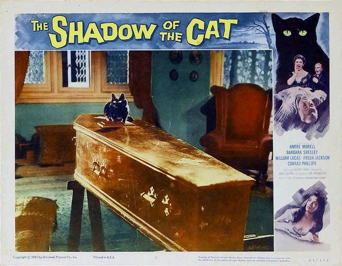 The Shadow of the Cat 8