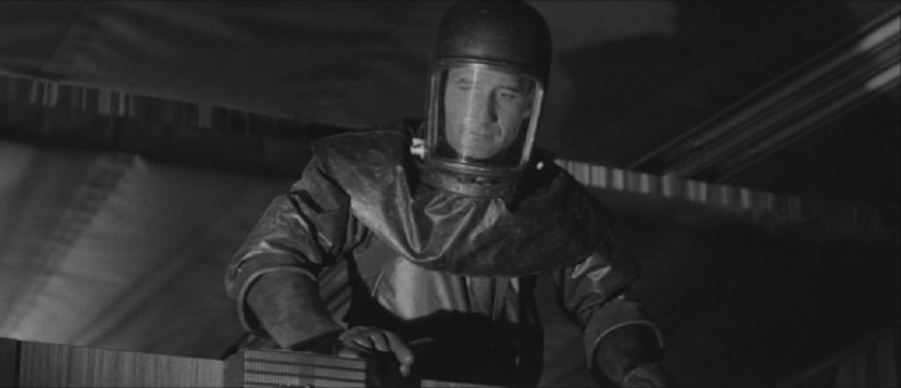 These are the Damned22