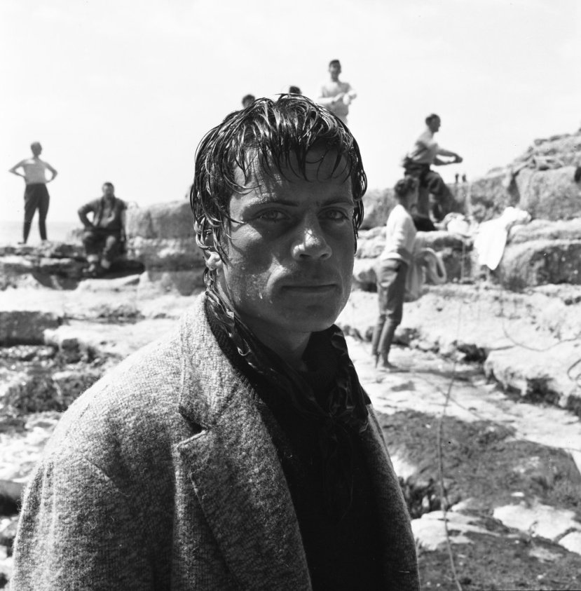 These are the Damned30