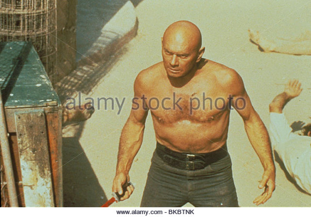 The Ultimate Warrior 1975 19