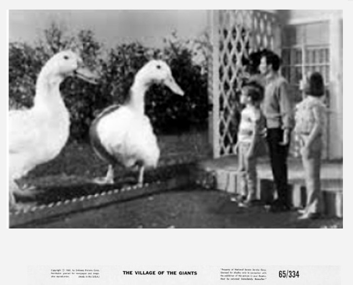 village of the giants 17