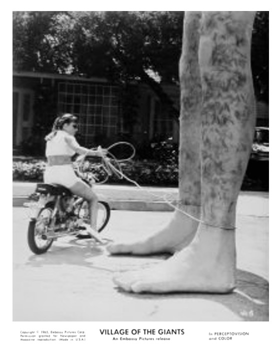 village of the giants 32