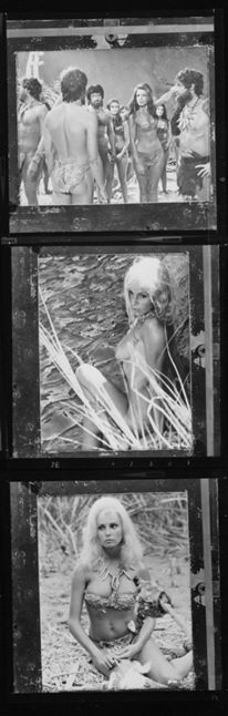 When Dinosaurs Ruled the Earth 14