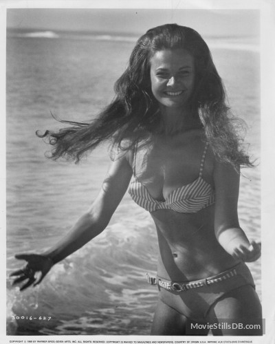 When Dinosaurs Ruled the Earth 62