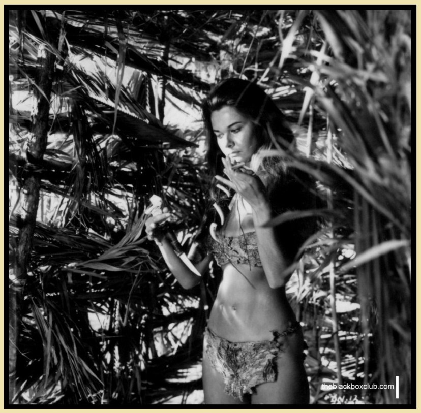 When Dinosaurs Ruled the Earth 82