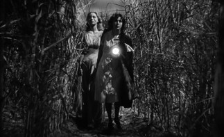 I Walked With a Zombie 32