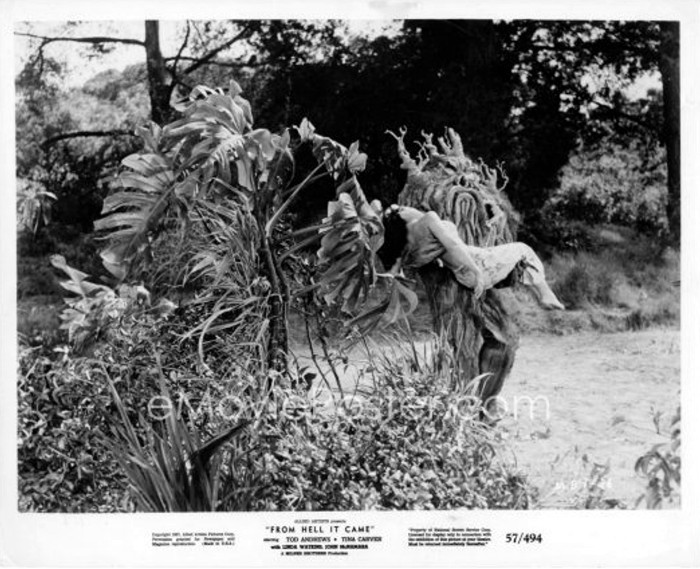 From Hell It Came 10