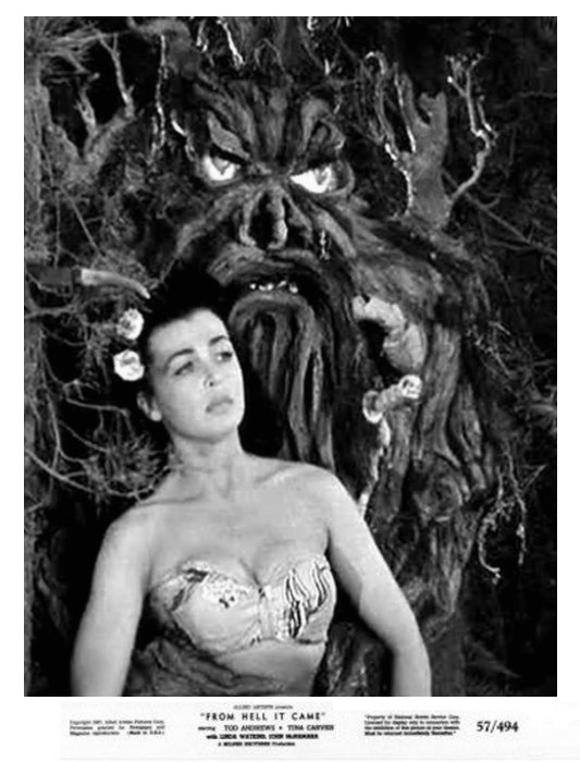 From Hell It Came 11