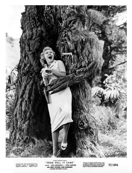 From Hell It Came 12