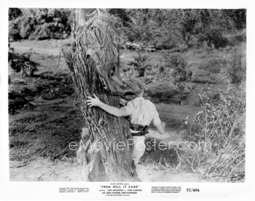 From Hell It Came 13