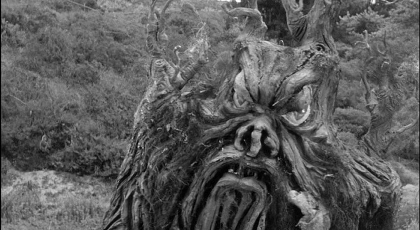 From Hell It Came 30