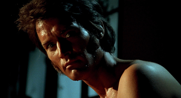 hatchet for the honeymoon 17