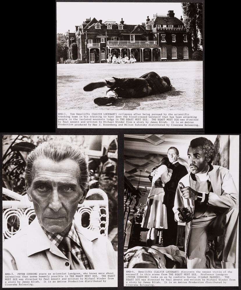 The Beast Must Die 9