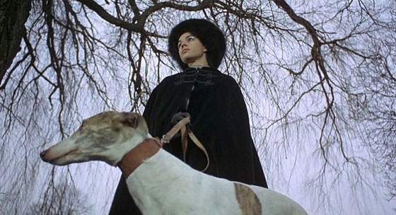 The Abominable Dr. Phibes 35