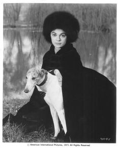 The Abominable Dr. Phibes 49