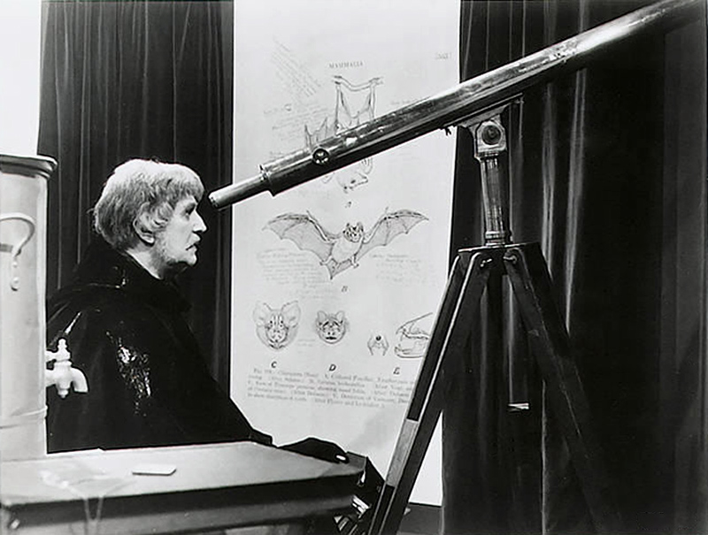 The Abominable Dr. Phibes 53